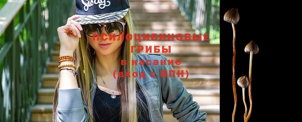 2c-b Бородино