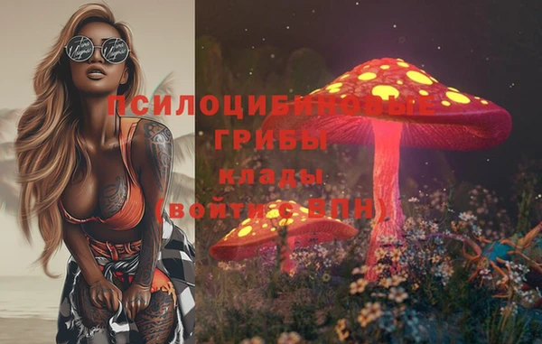 тгк Вязники