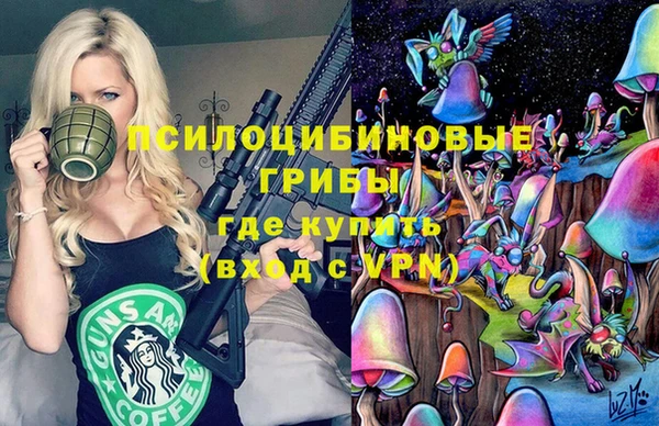 соль курить ск Вяземский