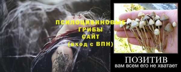 спайс Волоколамск